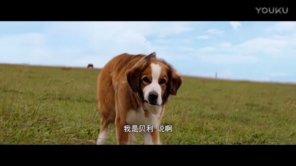开云入口