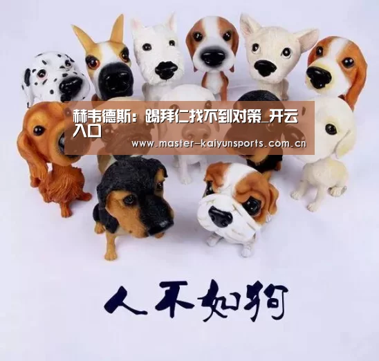 开云体育高清直播